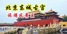 把她日出水来的免费视频中国北京-东城古宫旅游风景区