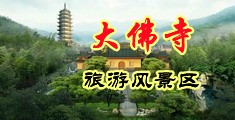 美女被大鸡鸡操的网站中国浙江-新昌大佛寺旅游风景区